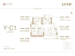 Y-C1 ���҃ɏd���l